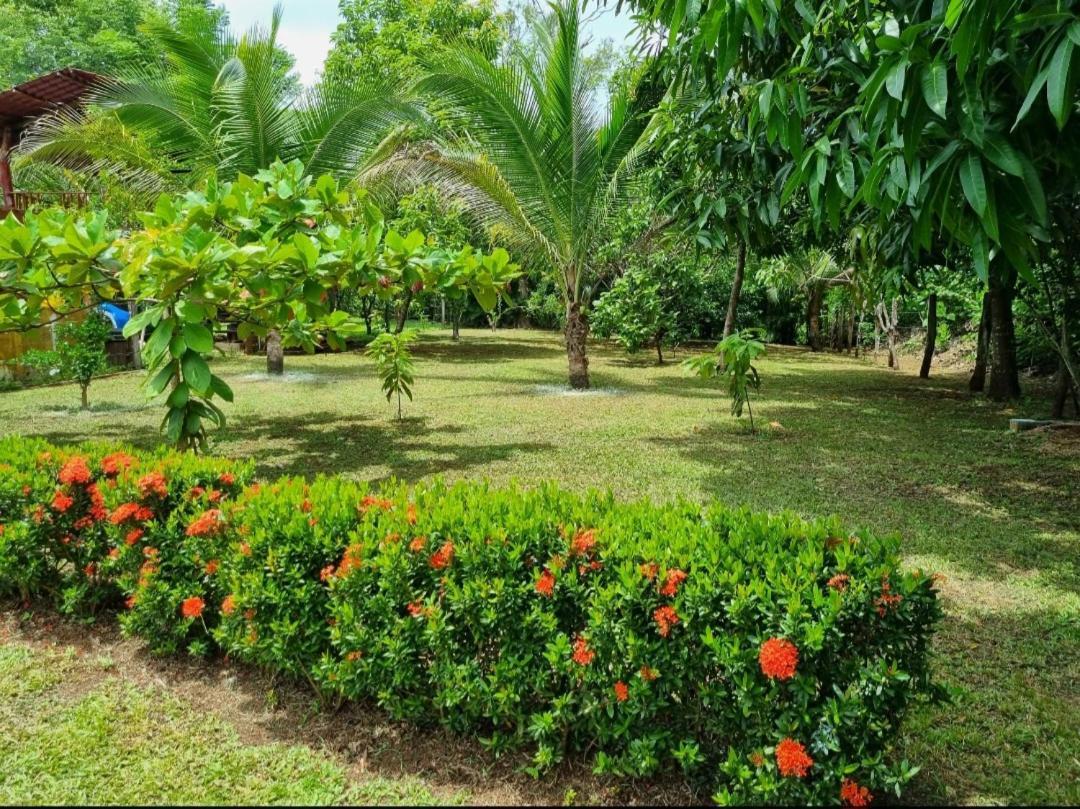 Casa De Playa Paraiso Terrenal San Juanillo Exterior photo